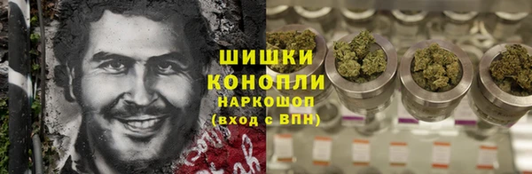 сатива Лабытнанги