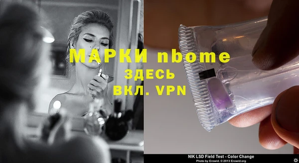 сатива Лабытнанги