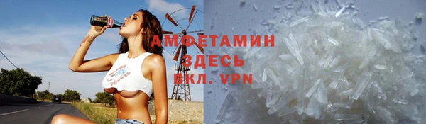 сатива Лабытнанги