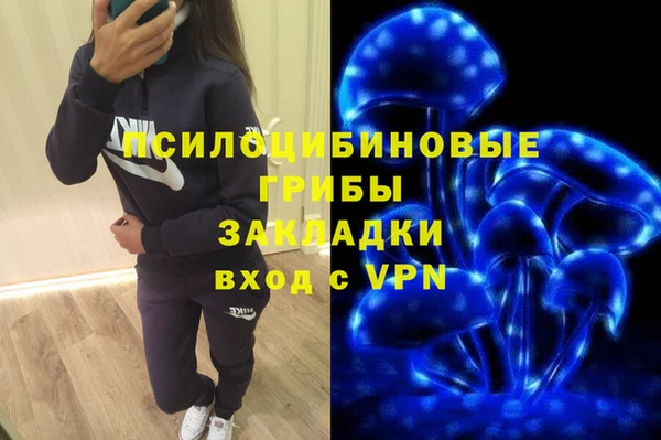 сатива Лабытнанги
