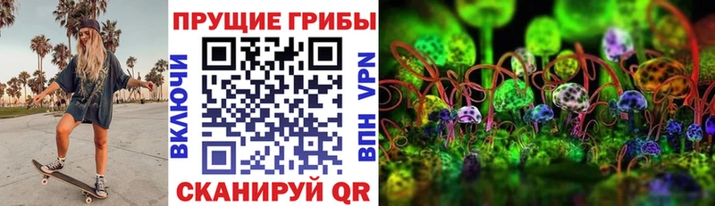 Галлюциногенные грибы мицелий  Купить где  Мензелинск 